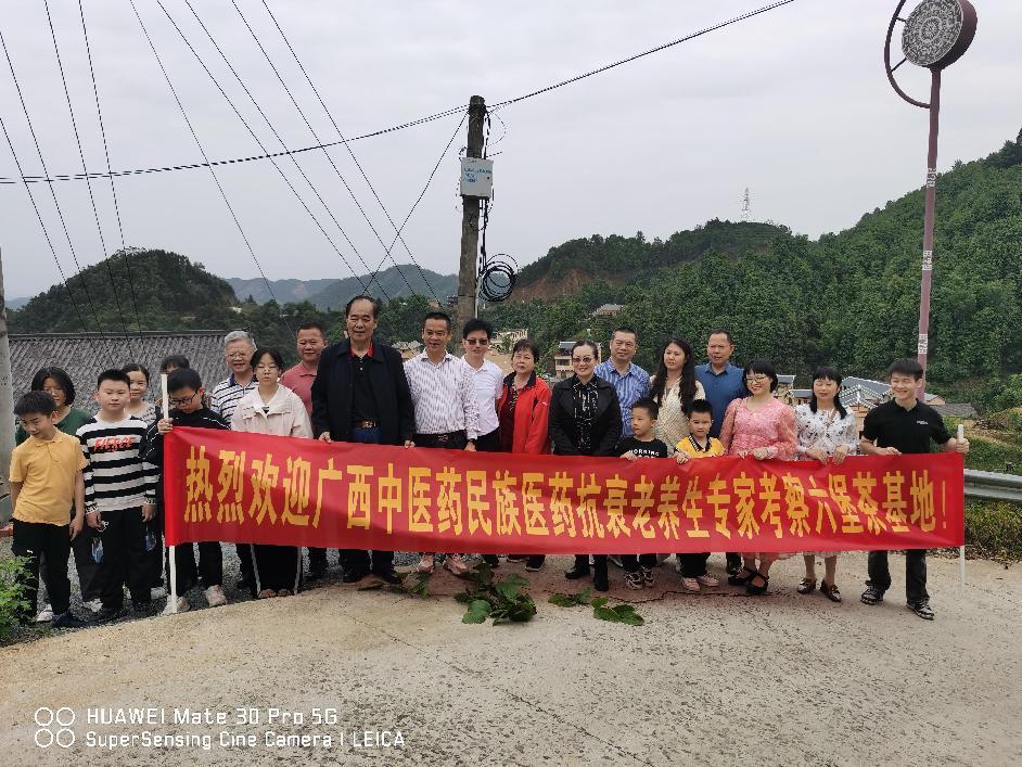 学会专家考察梧州万众中医医院